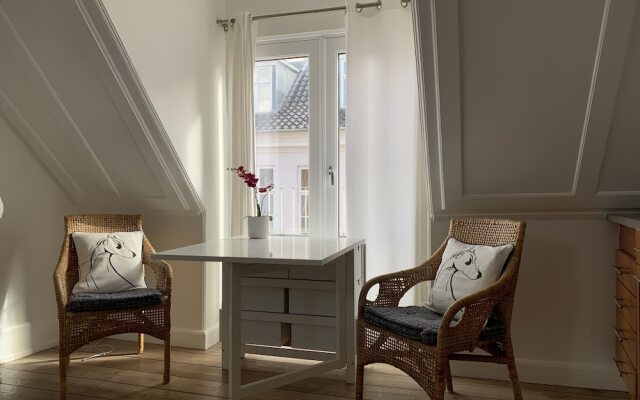 1 Bedroom Apt Downtown Copenhagen 298 1