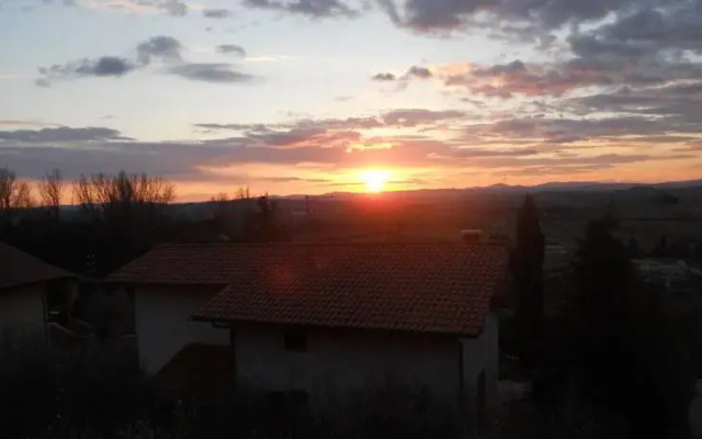 Il Leccio