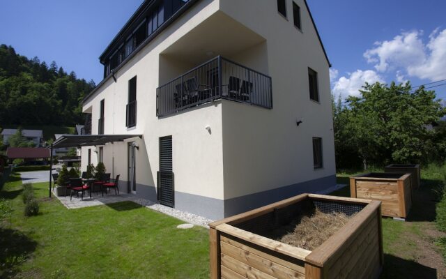 Apartments Razingar 9