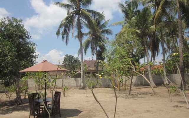 Coconut Village Guest House