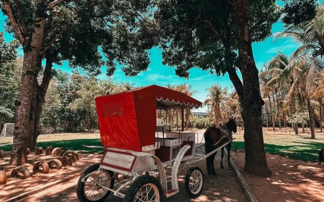 Village dos Pássaros