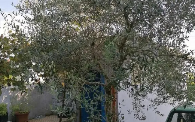 Casa Beatrice