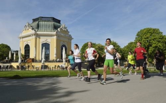 Luxury Schnbrunn Apartment