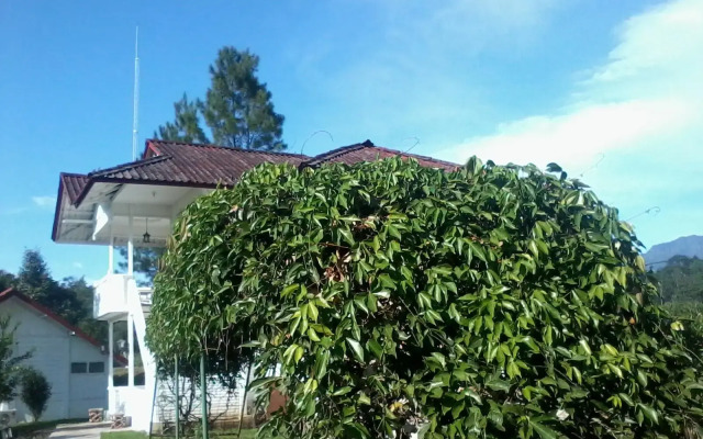 Marbella Villa Resort​