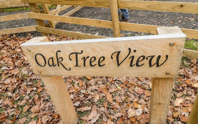 Oak Tree View