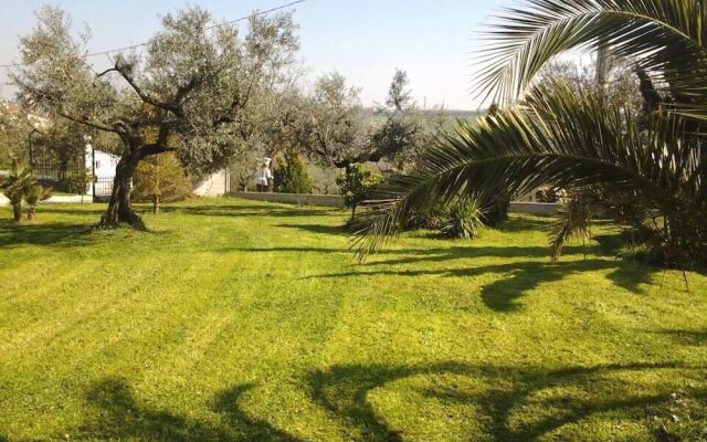 Villa L'Anfora