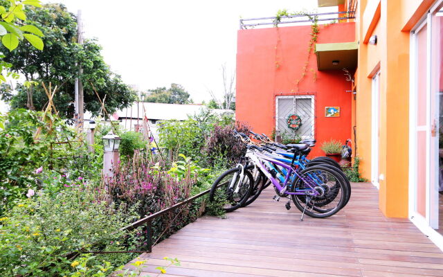 Longtian Hill B&B