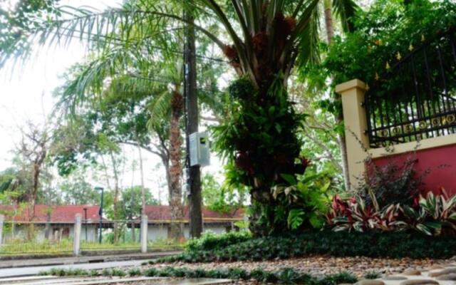 P.P. Palm Mansion1