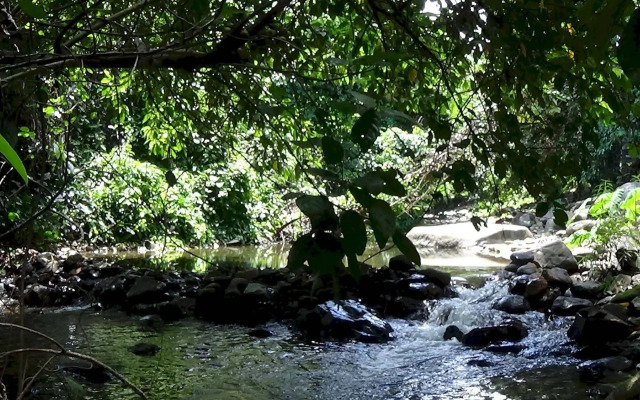 Tree Top River Huts