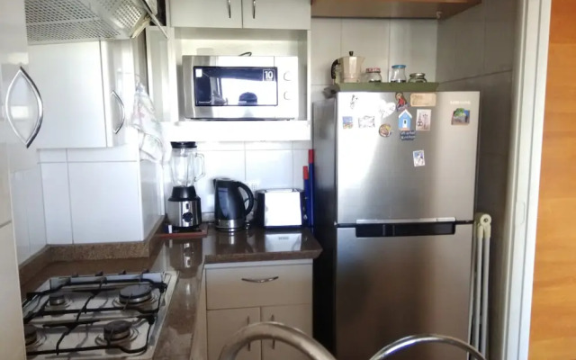 Central Apartment Providencia