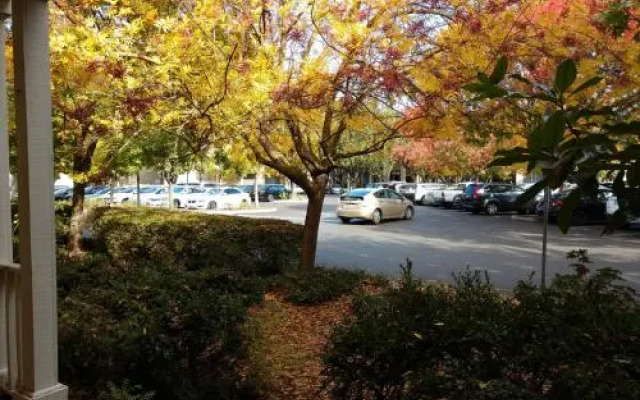 Cozy Studio Next To Ucdavis