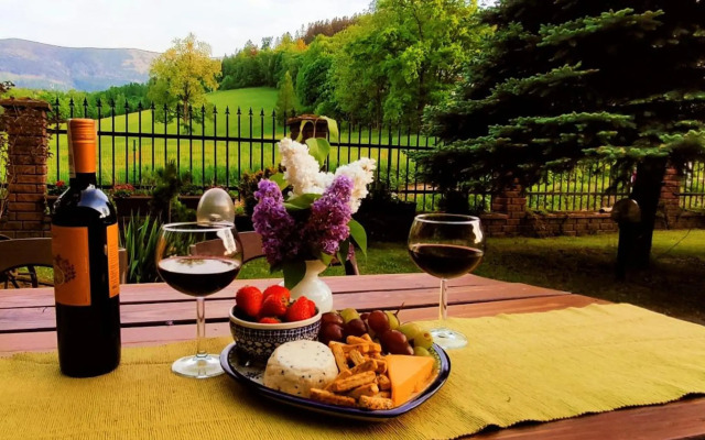 Gorski Widok Karpacz Apartamenty i Pokoje- Salon Kominkowy