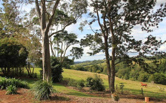 Seasons of Maleny B&B