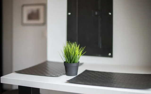 Applewood Suites - Toronto Traveler Loft