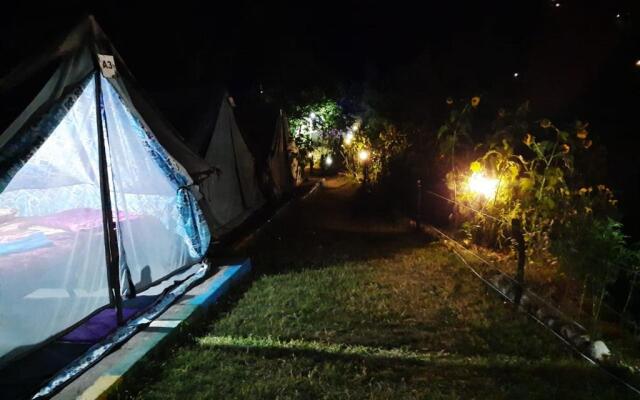 Jungle Live Inn Camps & Resorts
