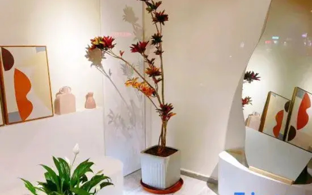 Lu'er Preferred Apartment (Chenqiao Branch)