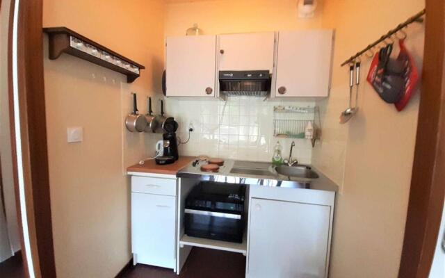 Studio Saint-Lary-Soulan, 1 pièce, 4 personnes - FR-1-457-305