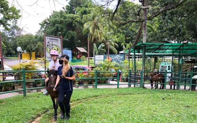 Glamping @ Bukit Timah HorseCity