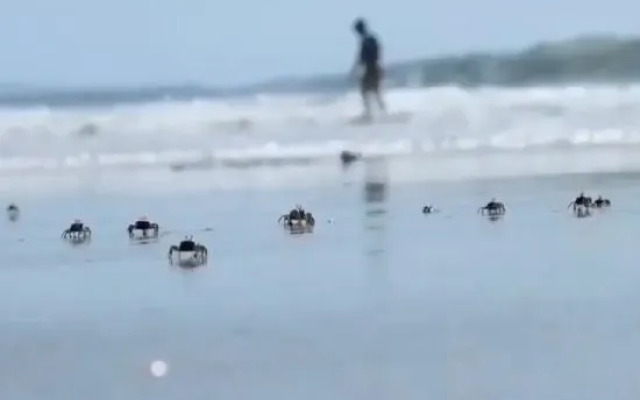 Dongshan Island Tinghai BBQ Homestay