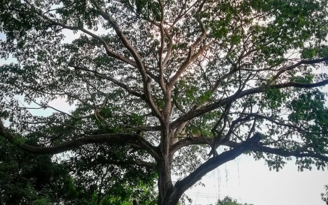 Ecohabs Bosques del Tayrona
