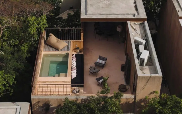 Villa Serenidad Garden Terrace Rooftop Pool