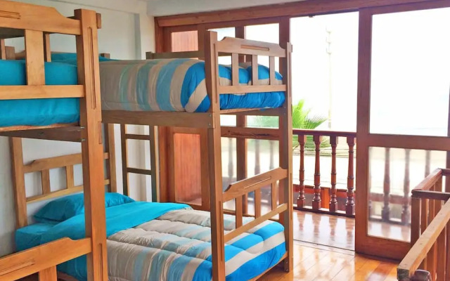 MadWoods Hostel