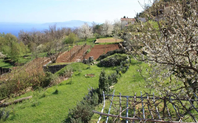 Apartments Menderi Hills