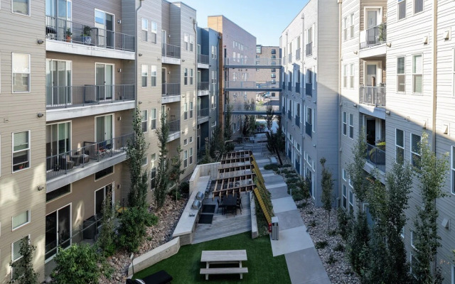 Stay Alfred at Dylan