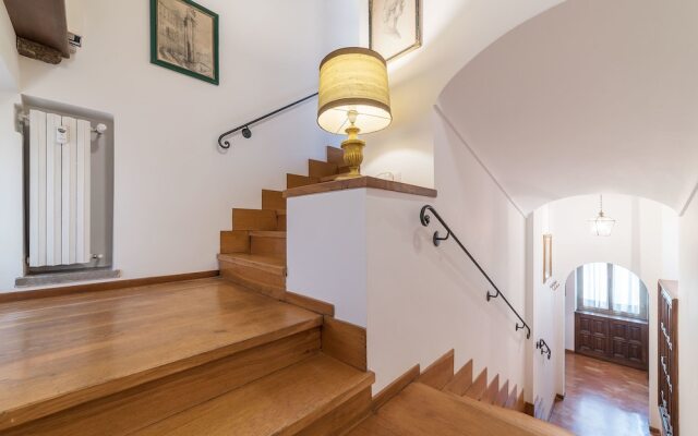 Trevi's Roof Terraces