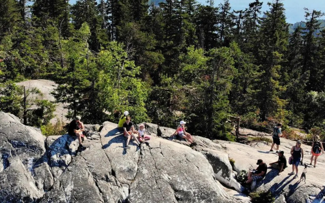 Koli Freetime Cottages