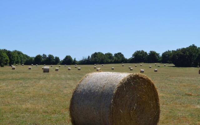 Gite Bouesse, 7 pièces, 14 personnes - FR-1-591-9