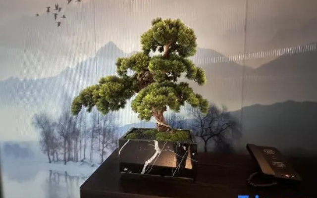 Citilink Oasis Liupanshui