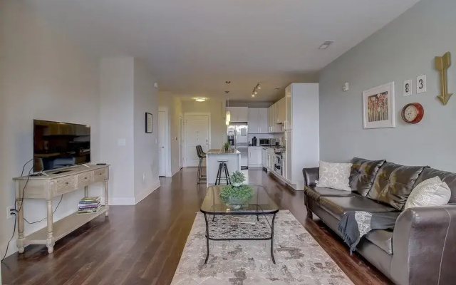 Luxurious 1BR Dilworth Apt on Greenway