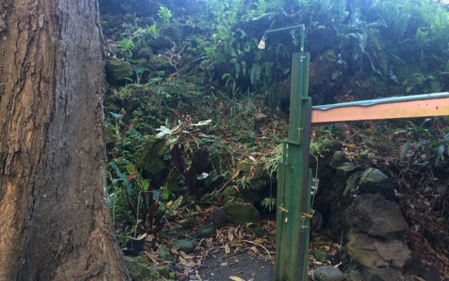 SweetSpotStay-Enchanted Grotto