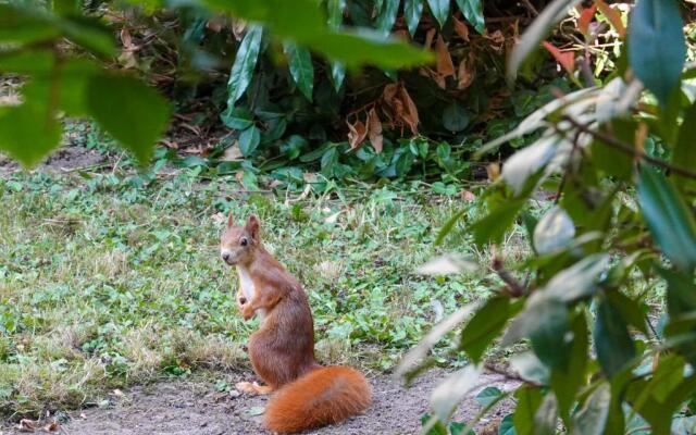 ruhige Ferienwohnung mitten in Wiesbaden