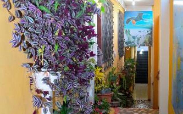 Hostal Tintorera