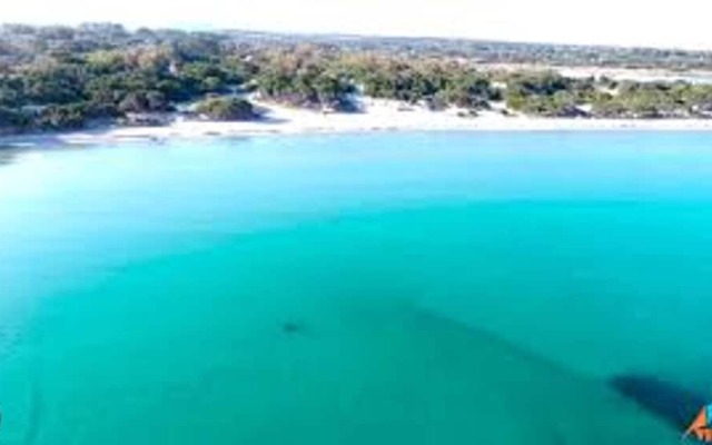 House With 2 Bedrooms In Calasetta With Enclosed Garden 300 M From The Beach