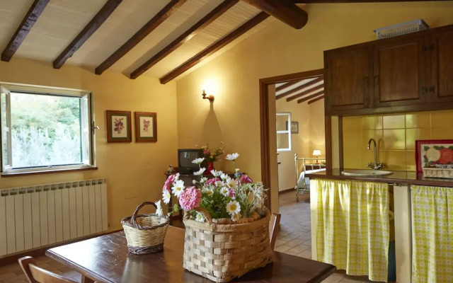 Agriturismo L'Ulivo