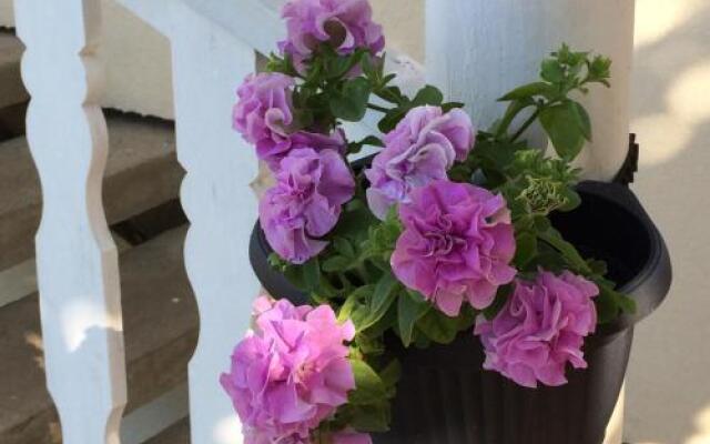 Willa Aleksandra - Apartamenty