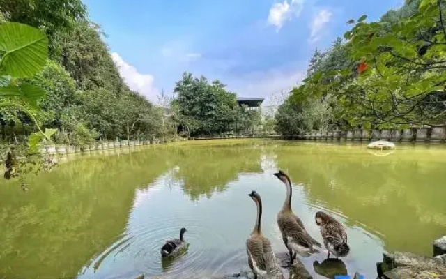 Nankunshan Mountain Farmhouse