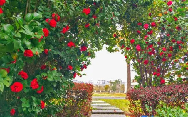 Ningde Sandu'Ao Fliport Hotel
