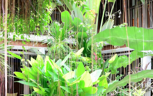 White House Beach Resort And Spa