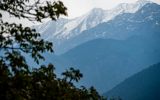 Moustache Hostel Pahalgam