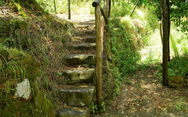 Gli Ulivi Agriturismo