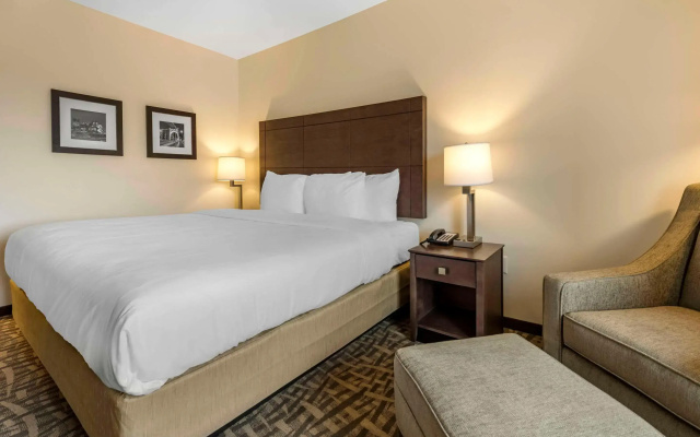Comfort Inn & Suites Pittsburgh-Northshore