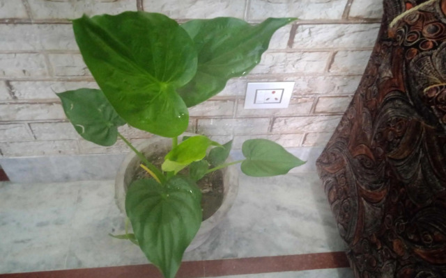 OYO HOME 92078 Pinky Homestay