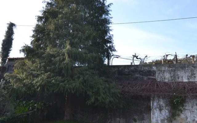 Casas de Pindela