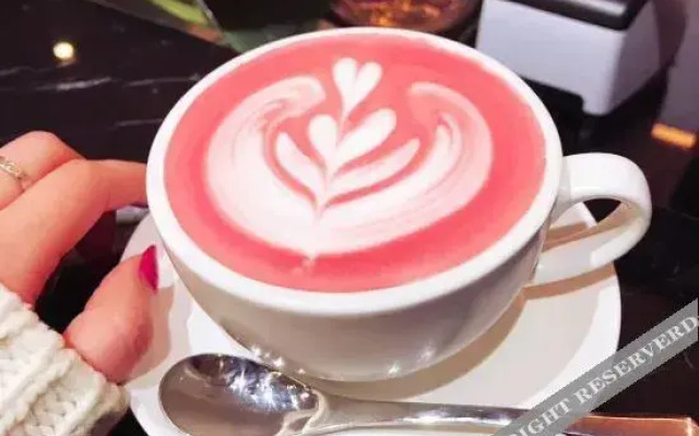 Giorgio Morandi Hotels