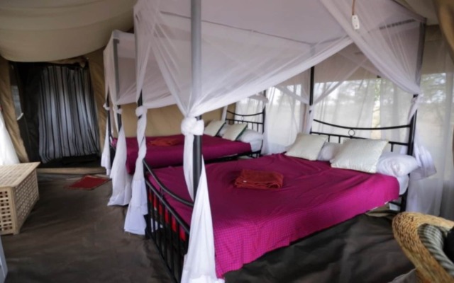 Serengeti Wildebeest Camp