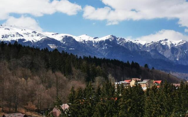 Bucegi View 39 - Colina Marei